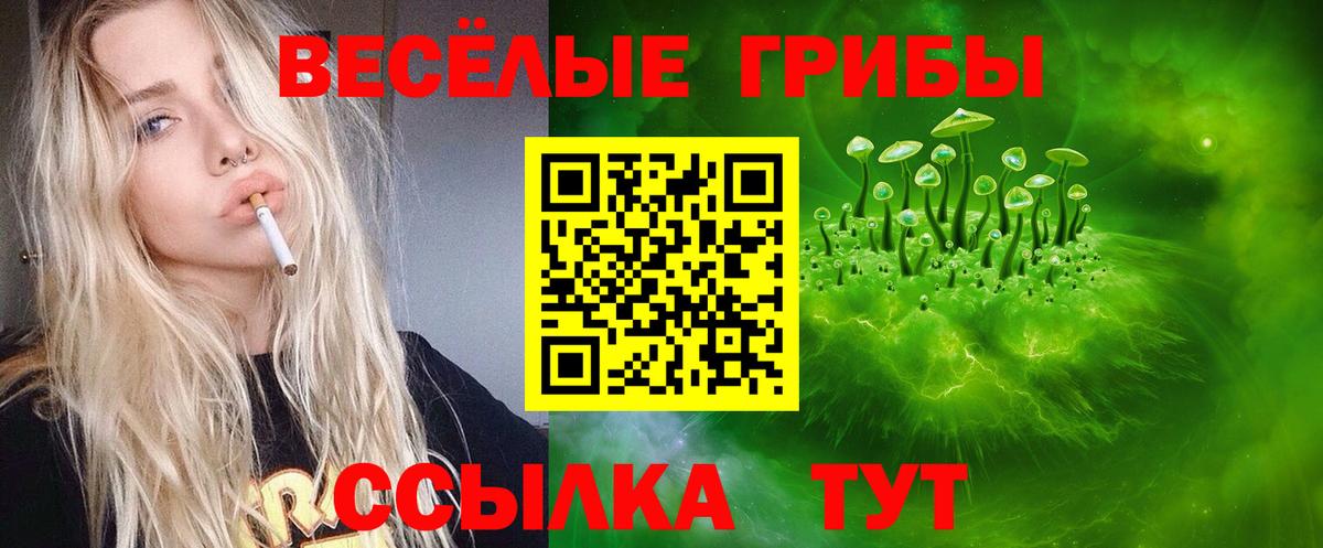 продажа наркотиков  Псилоцибиновые грибы Cubensis  Псилоцибиновые грибы Magic Shrooms  Вход с VPN  Павловский Посад 